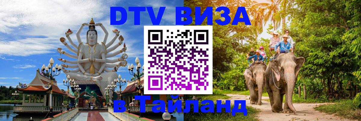 Оформление DTV визы под ключ: стоимость и тарифы, только загранпаспорт - Смоленск  19.11.2025 